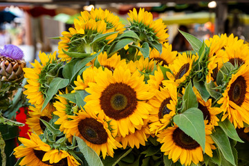 Fresh sunflowers for sale at a market in Aix-en-Provence, France