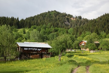 Beautiful Natural Greenery in village.savsat/artvin/turkey