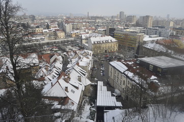 A View of Ljubljana in Winter, Slovenia