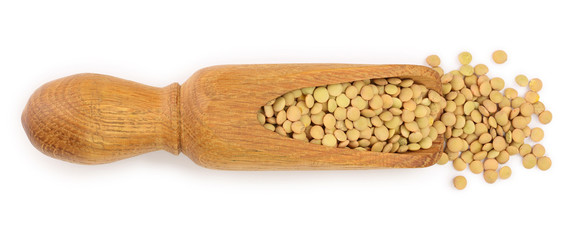green lentil in wooden scoop isolated on white background. Top view