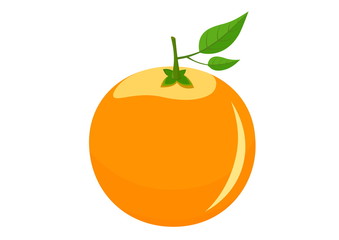 orange isolated vector image of fresh fruit