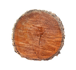 Cross section of tree trunk with annual growth rings isolated on white background