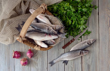 Fish european bass (Dicentrarchus labrax) on a wooden table