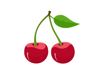 two cherries with leaf isolated vector fruit