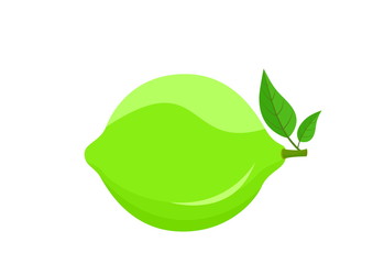 Lime with leafs isolated vector image of citrus fruit