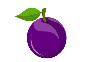 plum with leafs isolated vector fruit image
