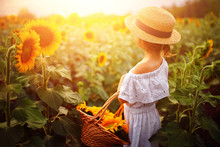 Portrait happy child girl in white dress, straw hat with a basket of sunflowers smiling and looking at camera. Sunny light playing on field. Family outdoor lifestyle. Summer cozy mood.
