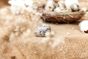 Easter decoration with egg in nest and cotton on brown rustic linen canvas background. Easter concept. Flat lay top view copy space. Spring greeting card