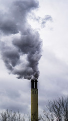 Berlin Sky smoke 