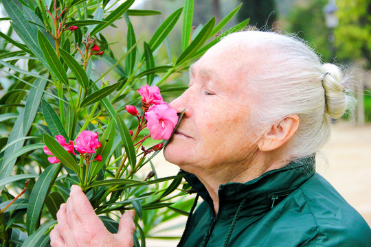 Elderly Woman Smelling Flowers Outside During Spring