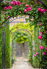 Fototapeta na wymiar flower arches in the garden