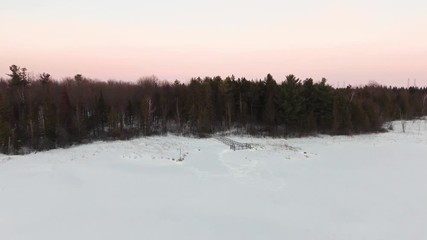 Aerial footage over winter forest and frozen lake in Ottawa, Ontario, Canada.