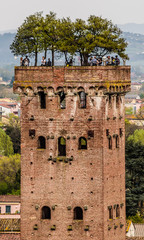 Lucca