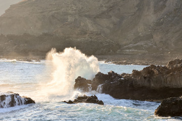 BIg Wave in the Ocean