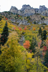 Fall Mountain View