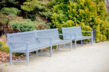 Bench in French style in a park.