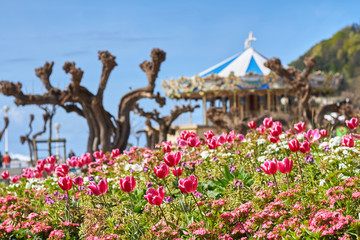 Spring flowers of red and purple with a merry-go-round in the background