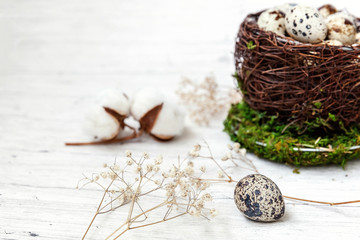 Easter decoration with egg in nest cup and cotton on white wooden background. Easter concept. Flat lay top view copy space. Spring greeting card