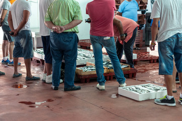 Lonja en puerto maritimo