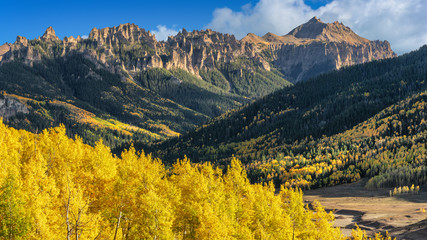 Autumn Aspen on Cimarron County Road to Silver Jack - Southwest Colorado 