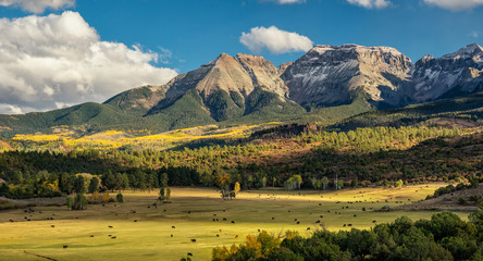 Autumn at a cattle ranch in Colorado near Ridgway - County Road 9	- Ralph Lauren Double RL - obrazy, fototapety, plakaty