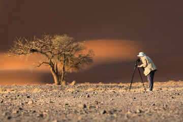 A photographer photographs a tree in Sossusvlei.