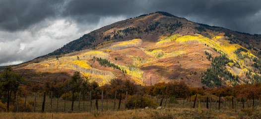 Autumn Rocky Mountain Colors near Durango Colorado