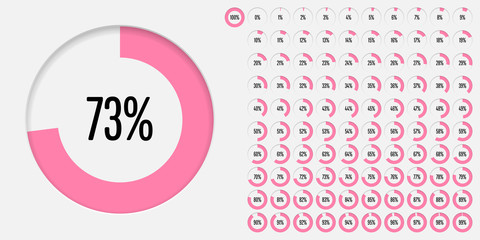 Set of circle percentage diagrams (meters) from 0 to 100 ready-to-use for web design, user interface (UI) or infographic - indicator with pink - obrazy, fototapety, plakaty