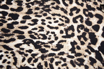 Leopard Backround, Authentic Leopard Skin, Skin's texture of leopard, © Aycan