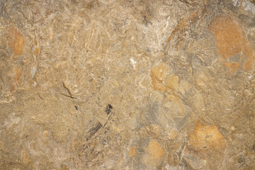 Rough Stone Texture Detail 3