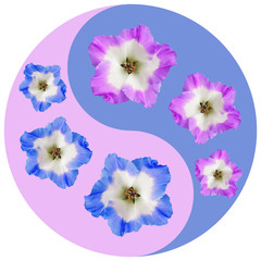 Floral Yin Yang symbol. Geranium, pelargonium.