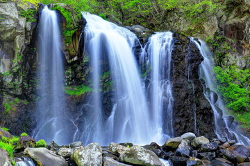 Fototapeta premium 千ヶ滝