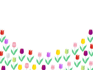 チューリップ　花　カラフル　背景