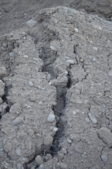 Cracked dirt from drying