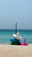 Drawing of colored Inflatable water toy against the sea on the sand beach