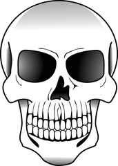 Front Skull_1