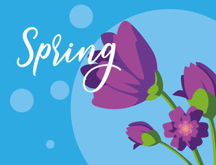 beautiful spring flowers card