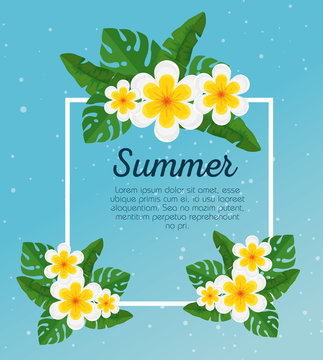 summer card with tropical flowers and exotic leaves