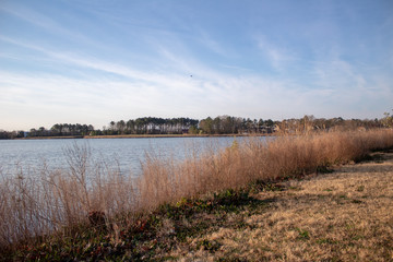 landscape with river and blue sky