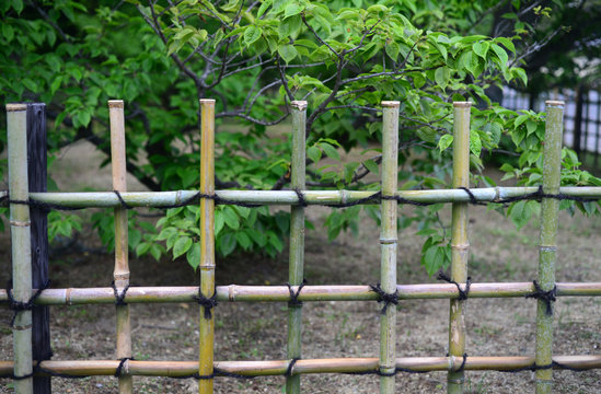  Bamboo fence-20