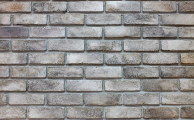 Fototapeta premium Modern brick wall texture background.