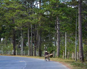 Naklejka premium A woman biking on mountain road