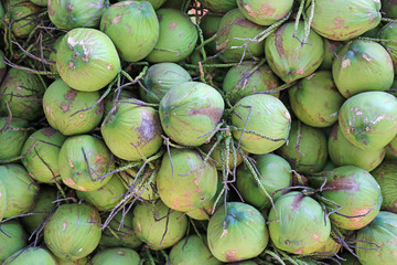 Bunch of green fresh coconuts background.