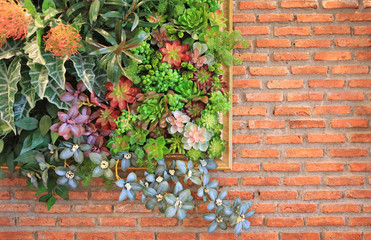 Fototapety  Beautiful plastic flower in frame decoration on brick wall background.