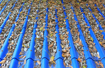 Fototapeta premium Fallen dried leaves on the roof of the blue tiles.