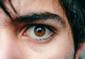 Fototapeta premium ojo