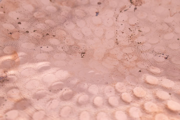 pan copper texture