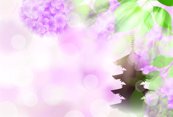 あじさい　花　梅雨　背景 