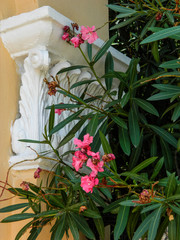 flower, flowers, pink, nature, plant, garden, bouquet, floral, green, blossom, red, white, decoration, summer, bloom, spring, beautiful, wedding, beauty, roses, rose, flora, arrangement, purple, vase