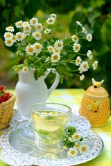 Cup of chamomile tea